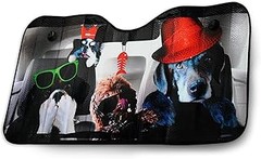 Problemas Frecuentes al Usar Parasoles para Perros en Coche