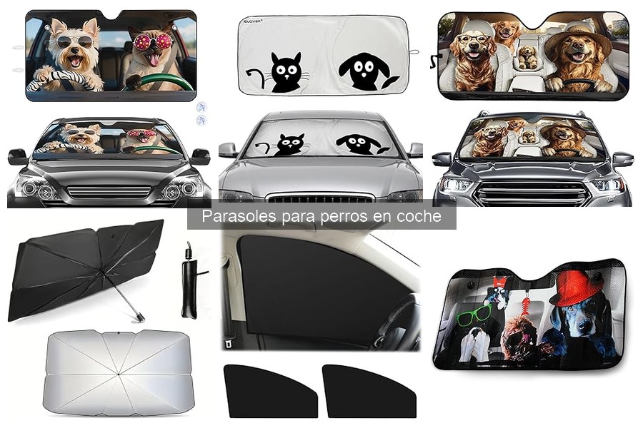 Beneficios de usar parasoles para perros en coche