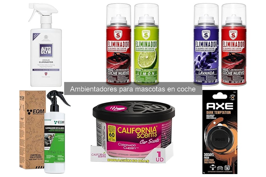 Fragancias populares para ambientadores de mascotas en coche